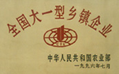 贾皓森